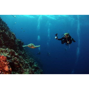 Správne vyváženie