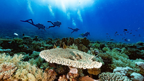 Hľadáš dobrodružstvo, ktoré ti zmení život? 