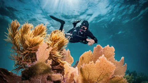 Objavte Nový Svet Pod Hladinou: Váš Potápačský Kurz Začína Teraz!